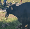 Ů½Դݱţнʮӣˣ˵ݰ