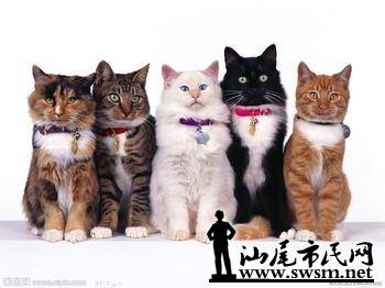 u=1198854706,3593925271&fm=23&gp=0.jpg