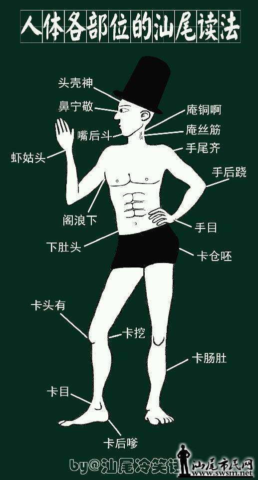 人体构