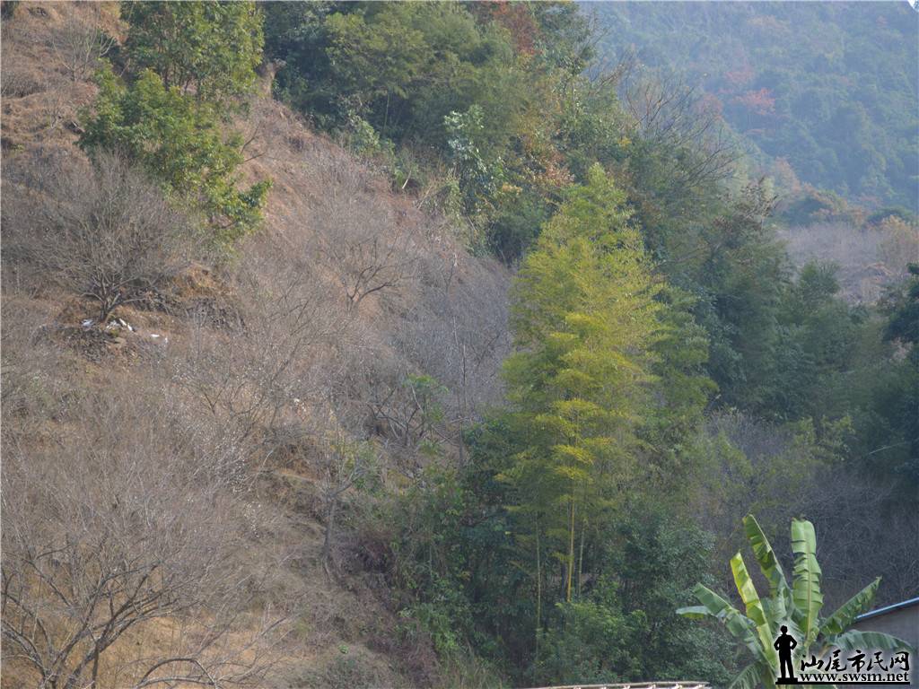 DSC_0629.jpg