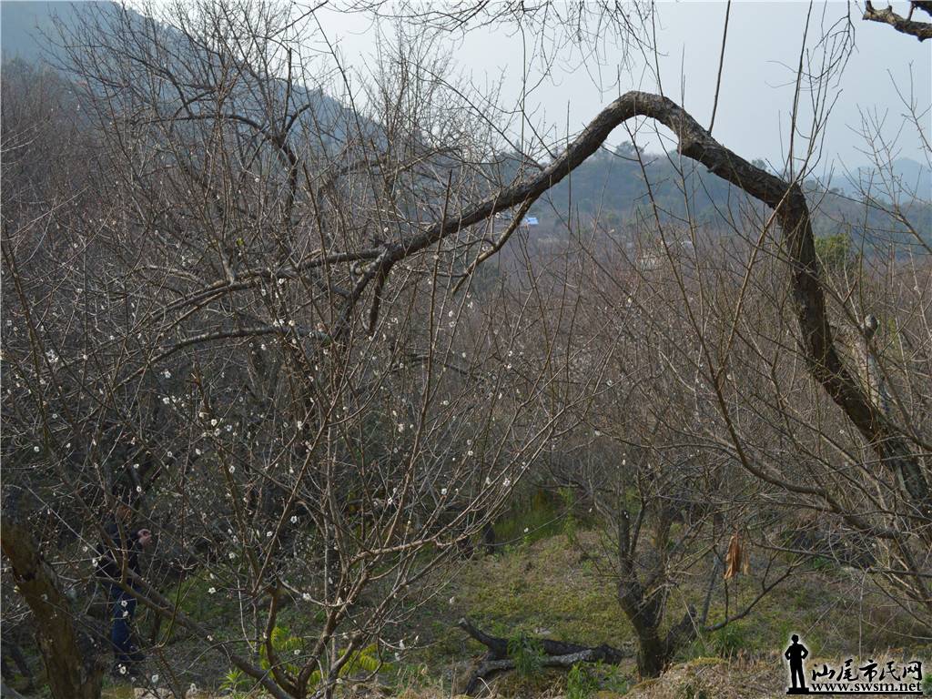 DSC_0647.jpg