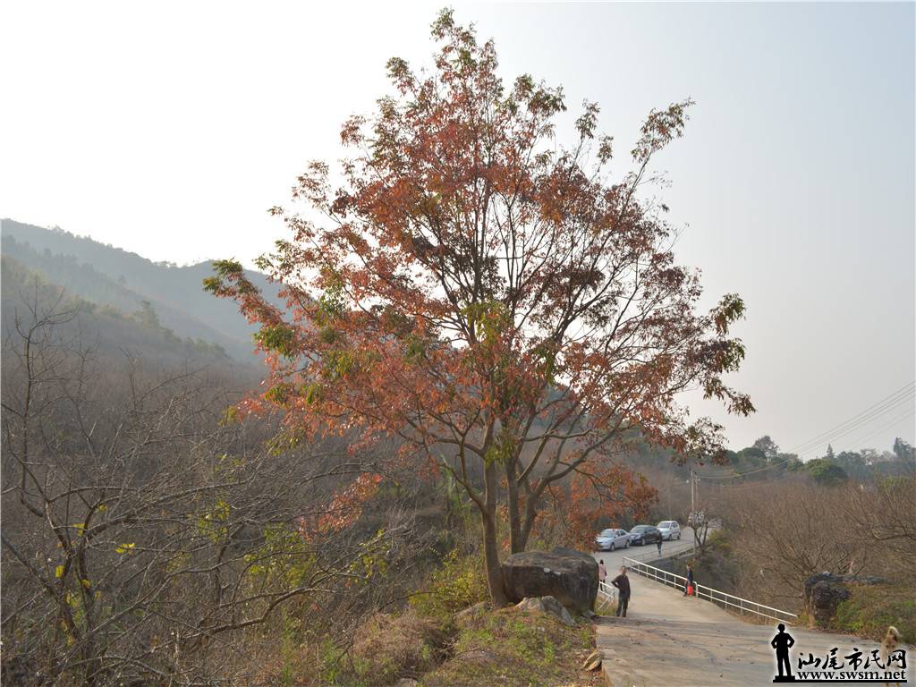 DSC_0667.jpg
