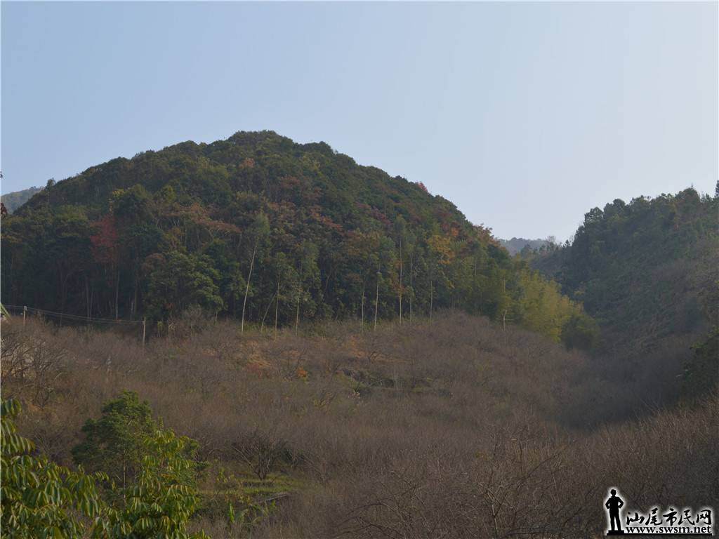 DSC_0672.jpg