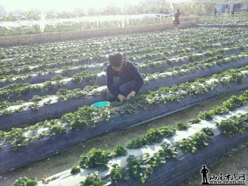 QQͼƬ20140203085749.jpg