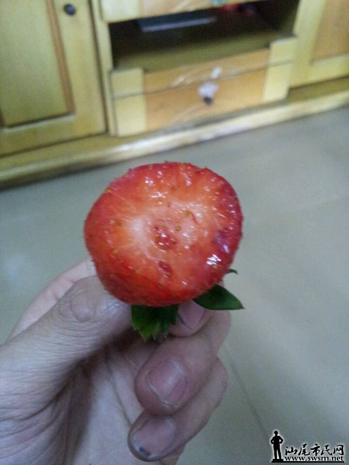QQͼƬ20140203085840.jpg