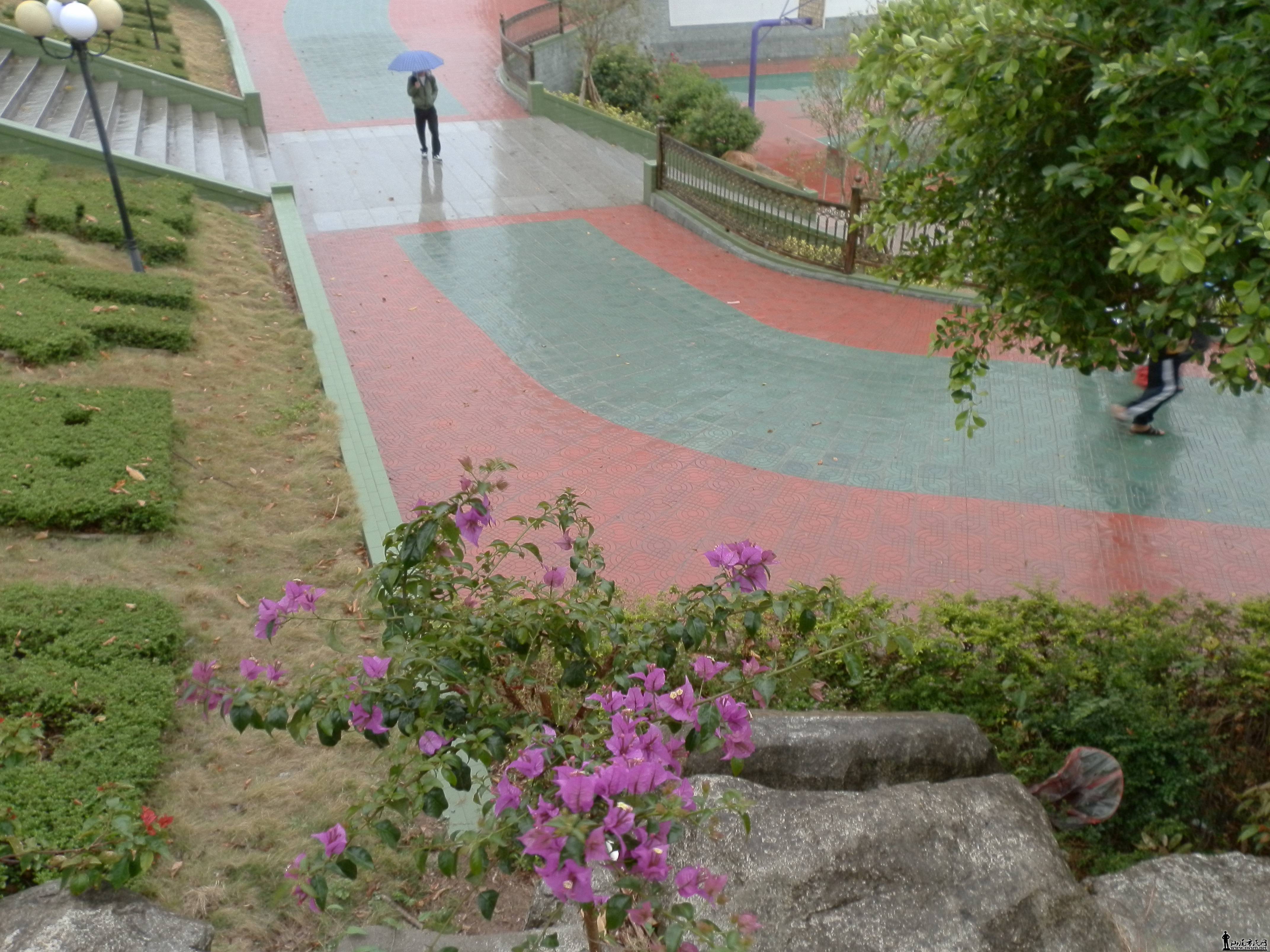 P2090002.JPG
