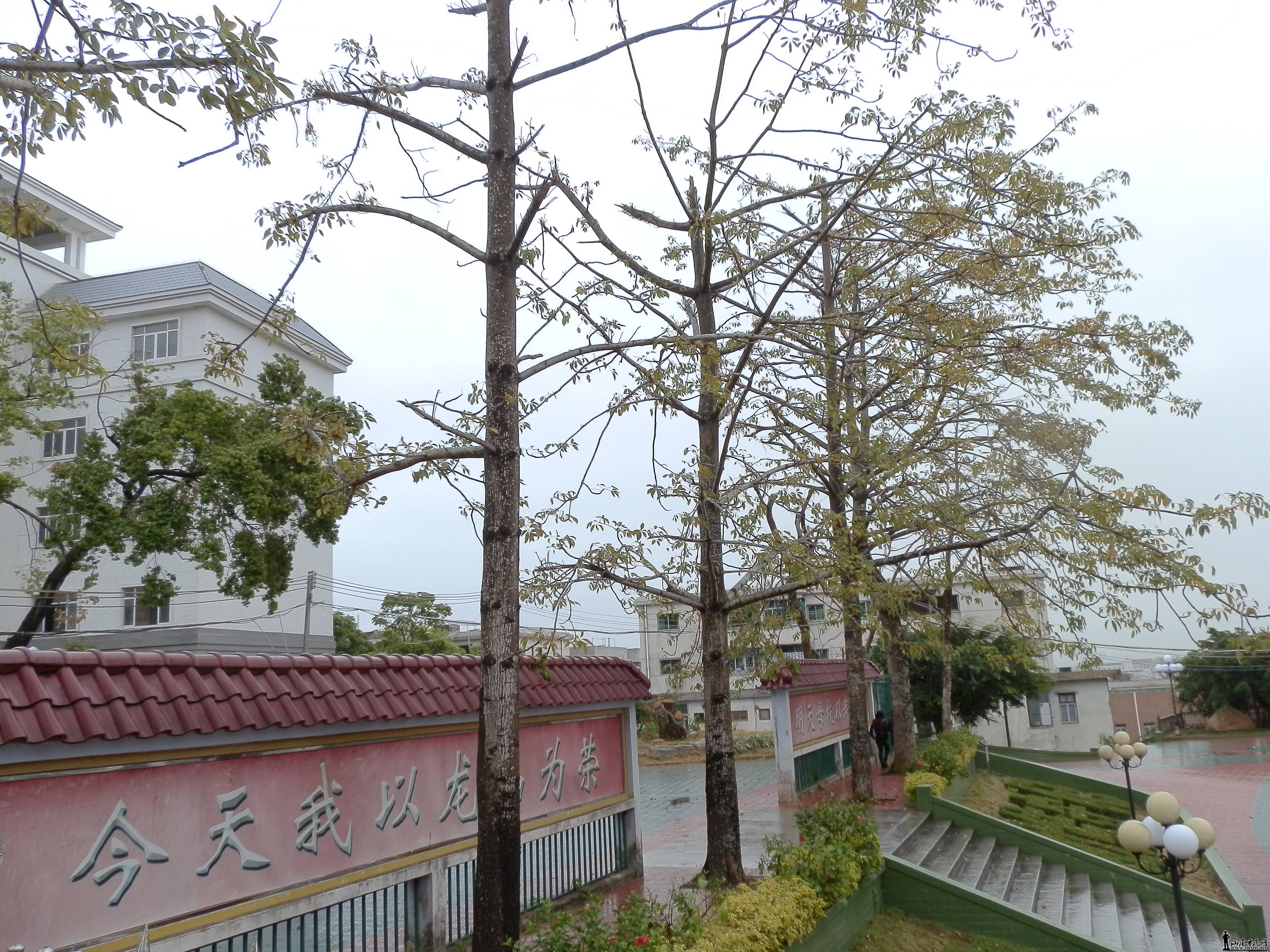 P2090003.JPG
