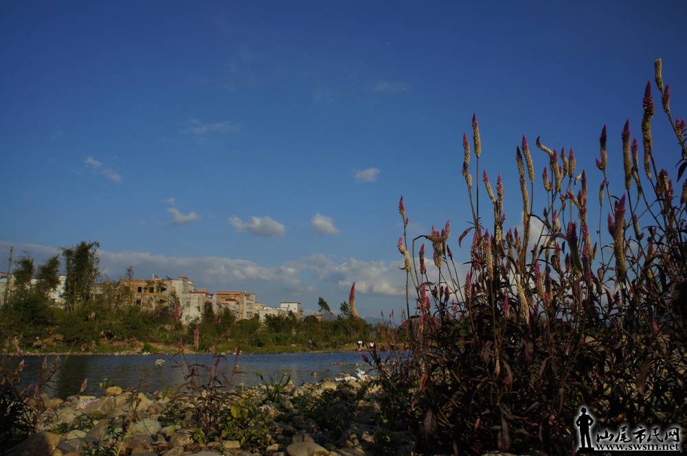 DSC00953.jpg