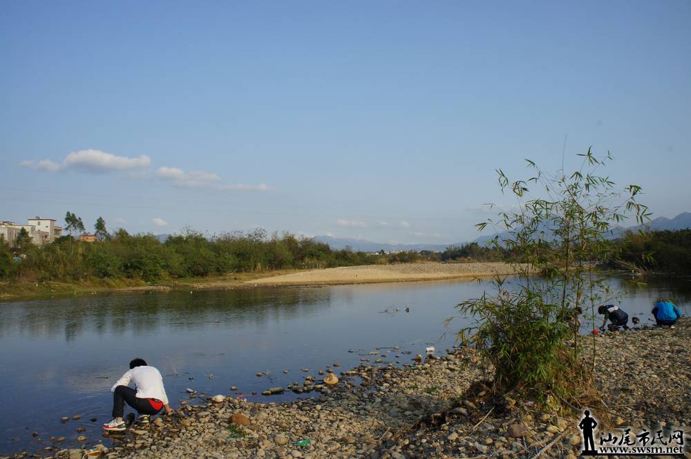 DSC02212.jpg