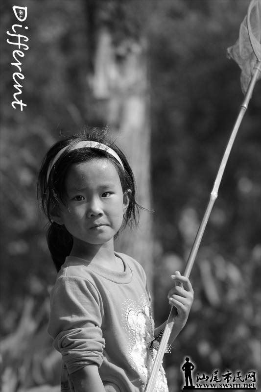 IMG_0932.jpg