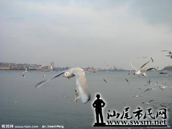 u=712351441,3184443126&fm=23&gp=0.jpg
