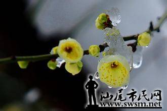 u=3075521488,2971048560&fm=15&gp=0.jpg
