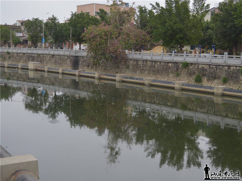DSC_0041.jpg