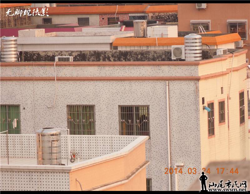 DSCN1922.jpg