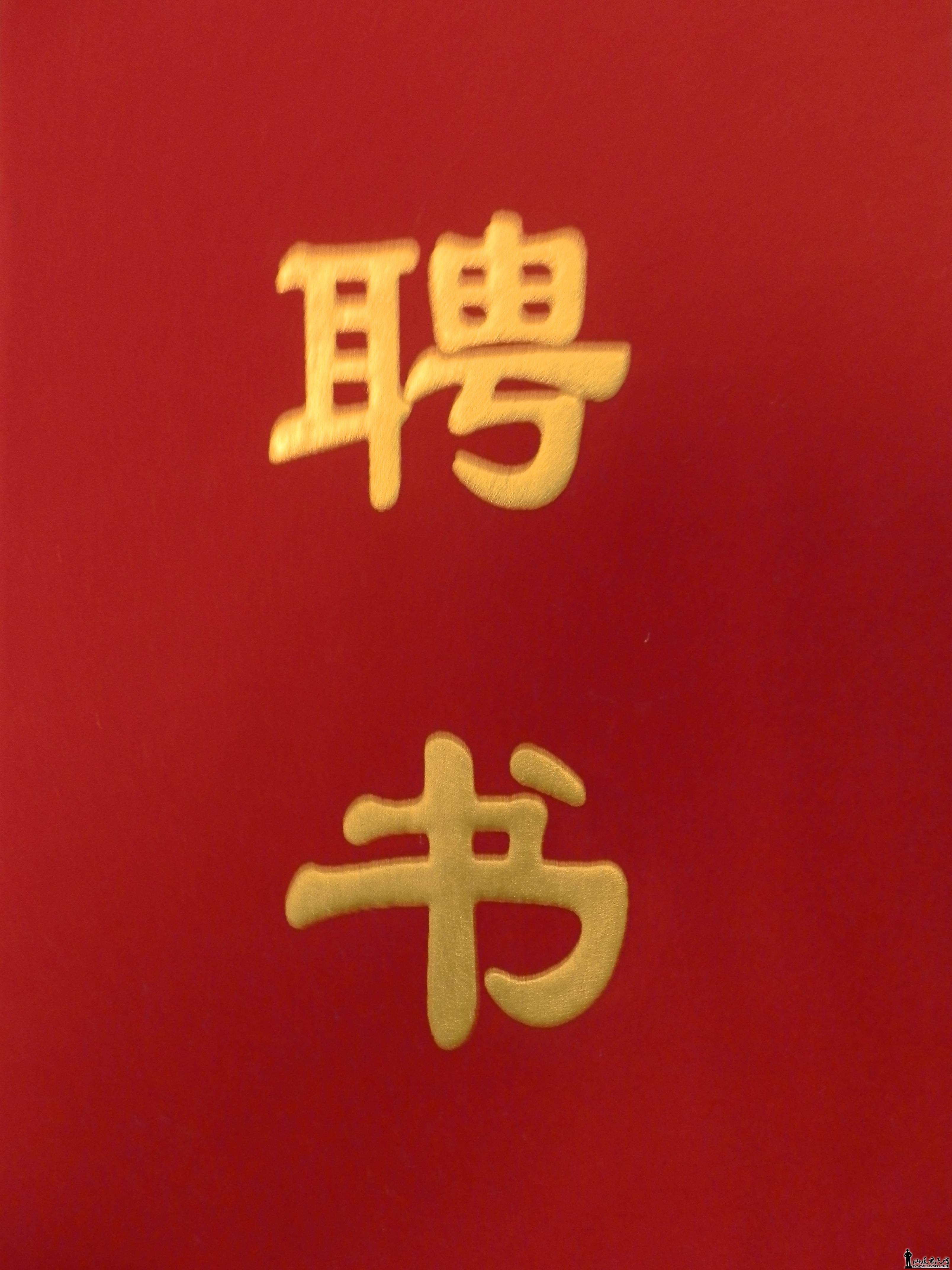 P3310007.JPG