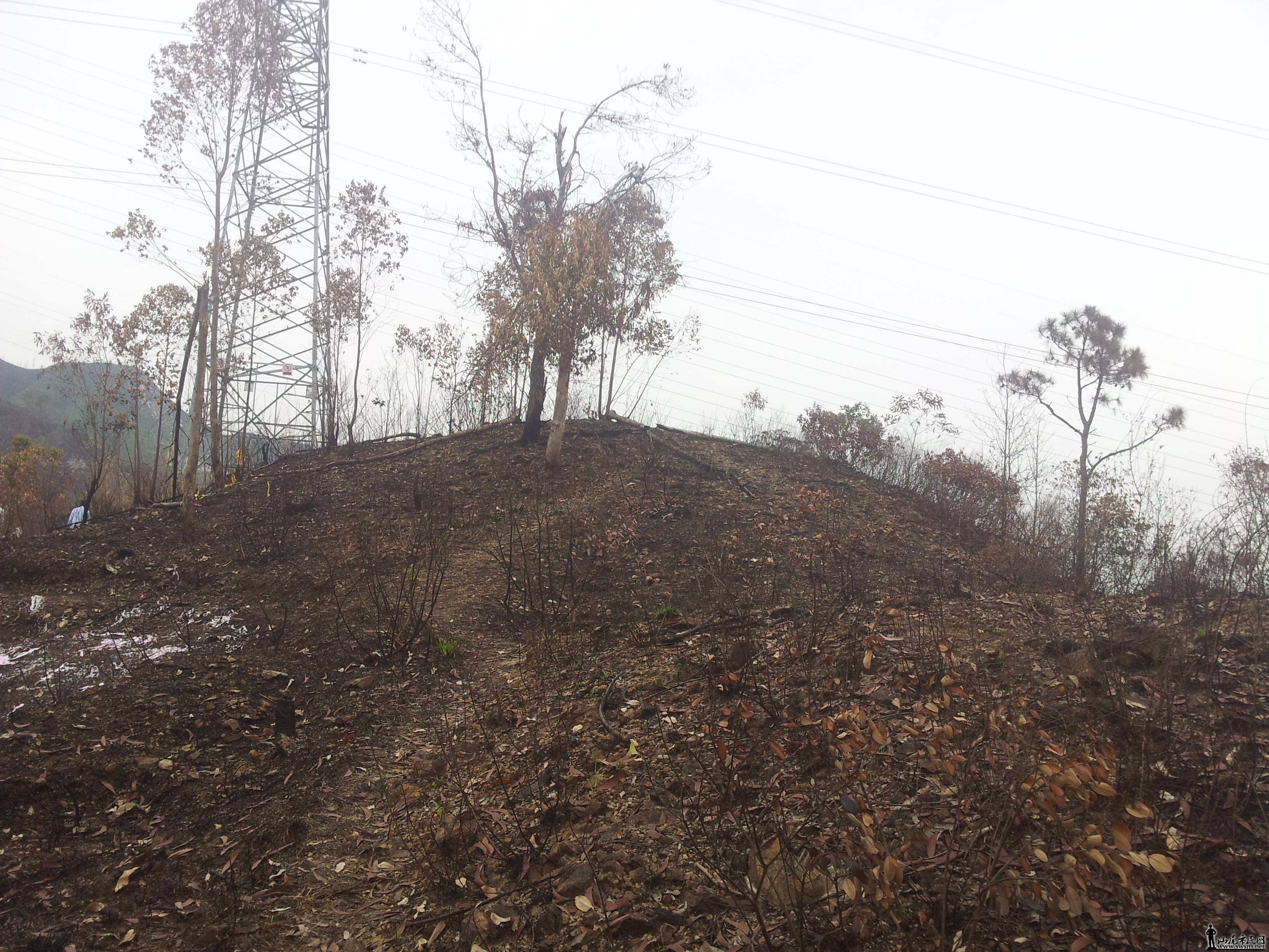 20140406_101940.jpg