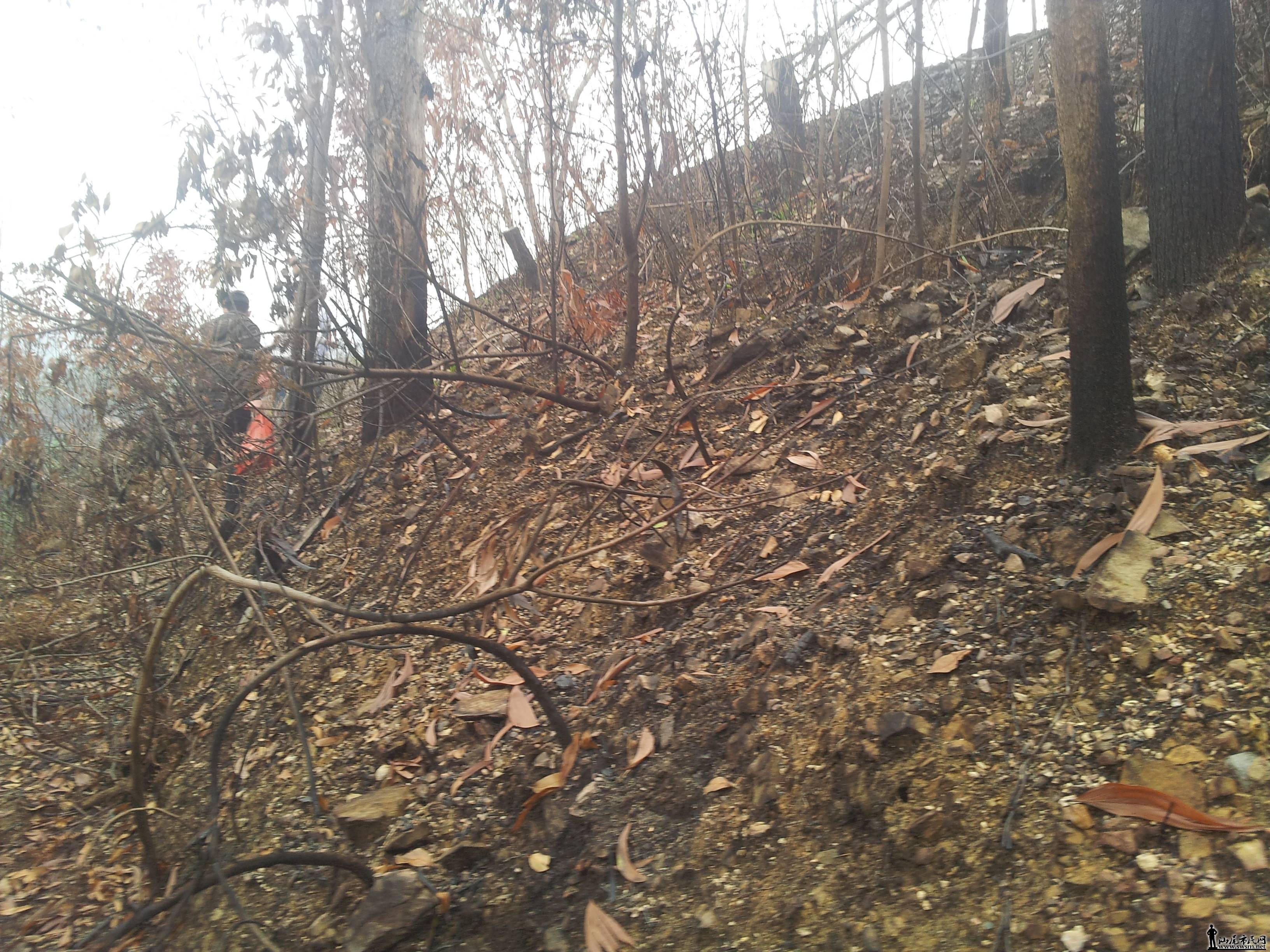 20140406_102258.jpg