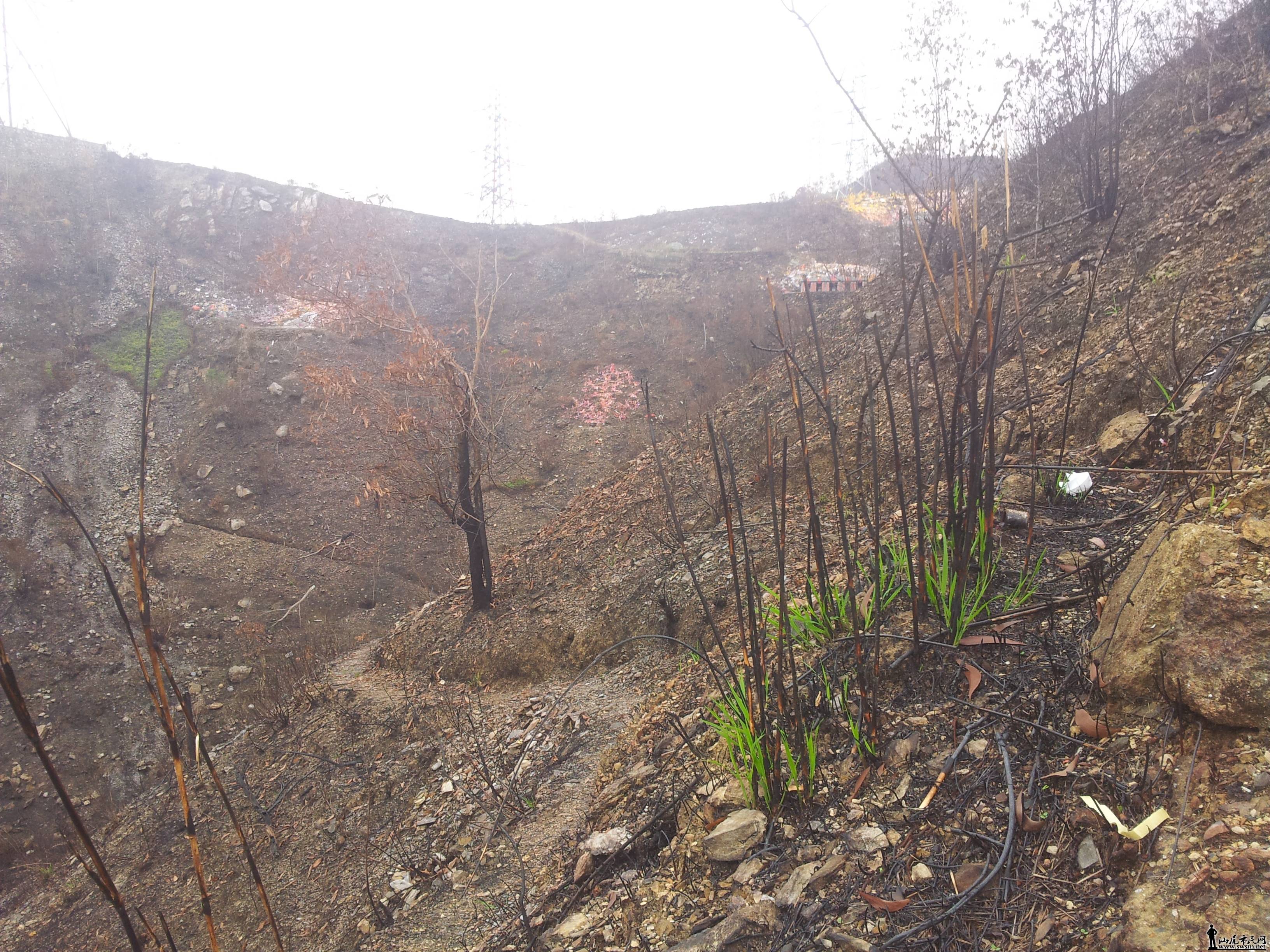 20140406_103809.jpg
