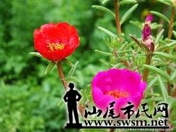 143211aiy8kqnbe3x0athn.jpg