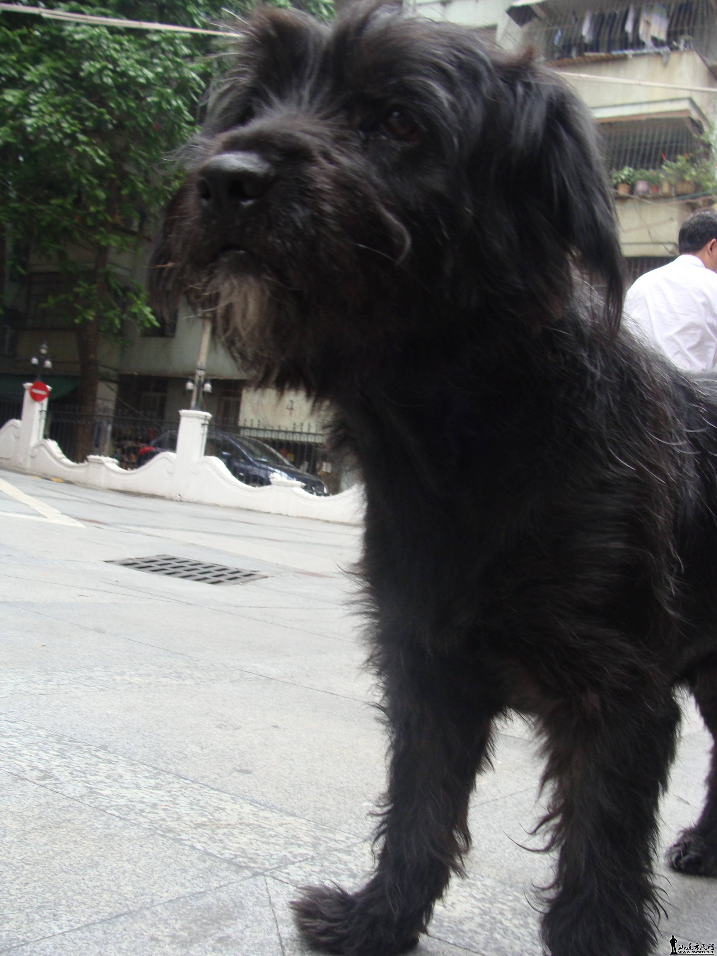 QQͼƬ20140506150034 - .jpg