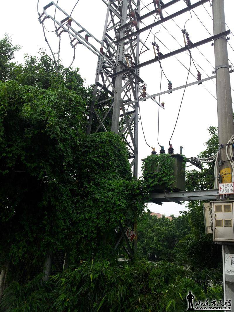 20140524_155103.jpg