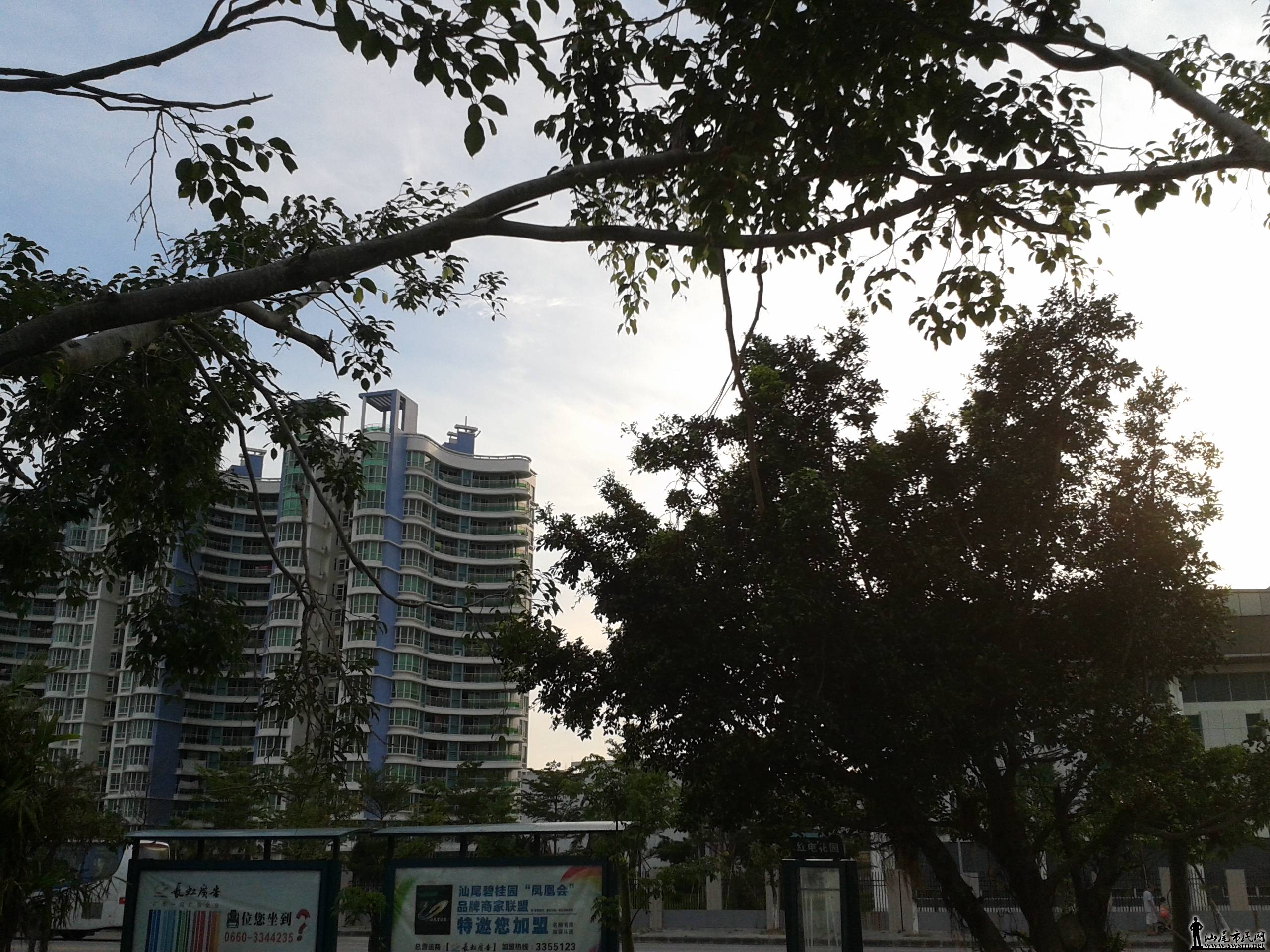 20140525_174145.jpg