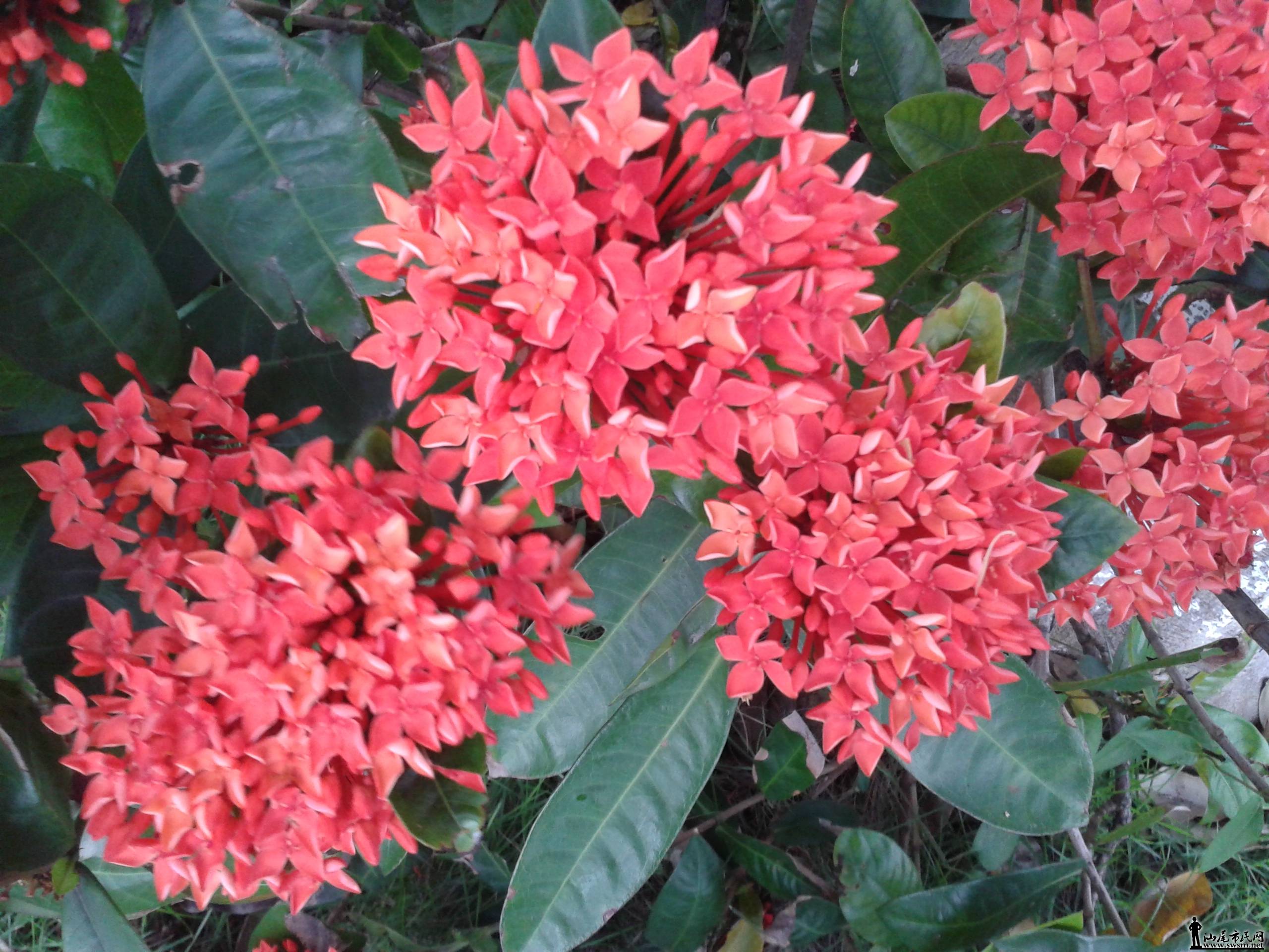 20140525_181525.jpg