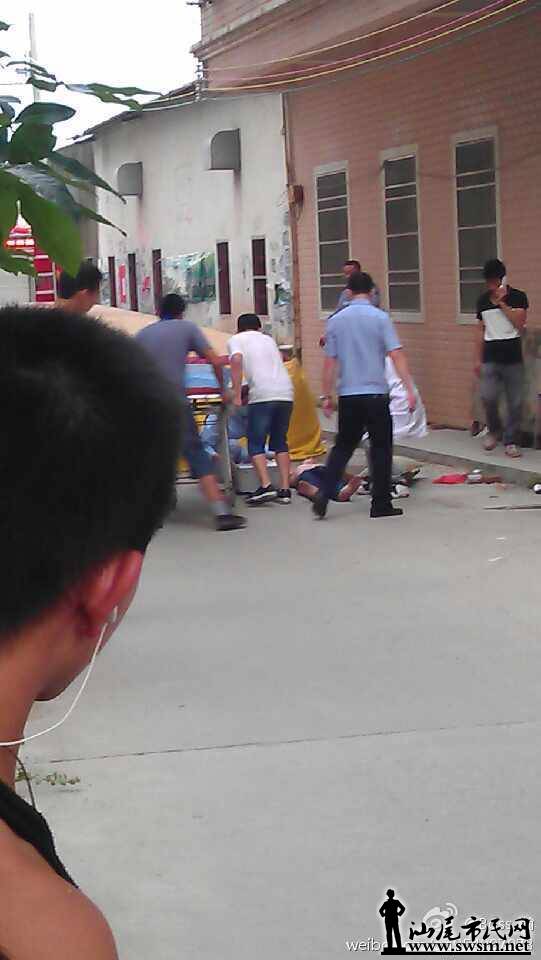6b091249jw1egu5u8zm59j20f10qoaap.jpg