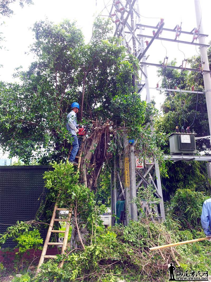 20140611_101403.jpg