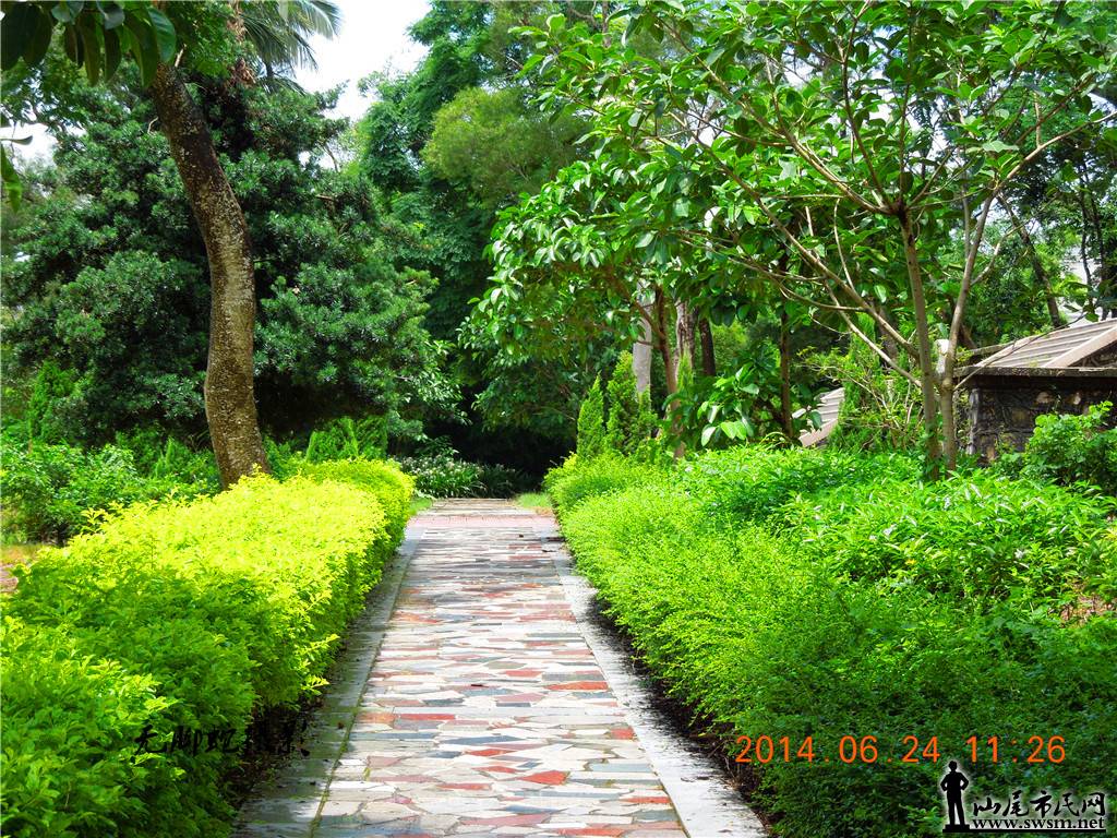 DSCN3025.JPG