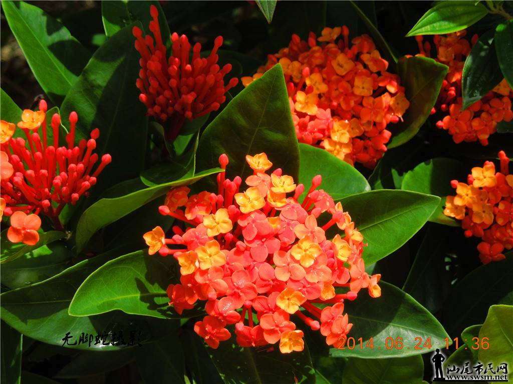DSCN3038.JPG