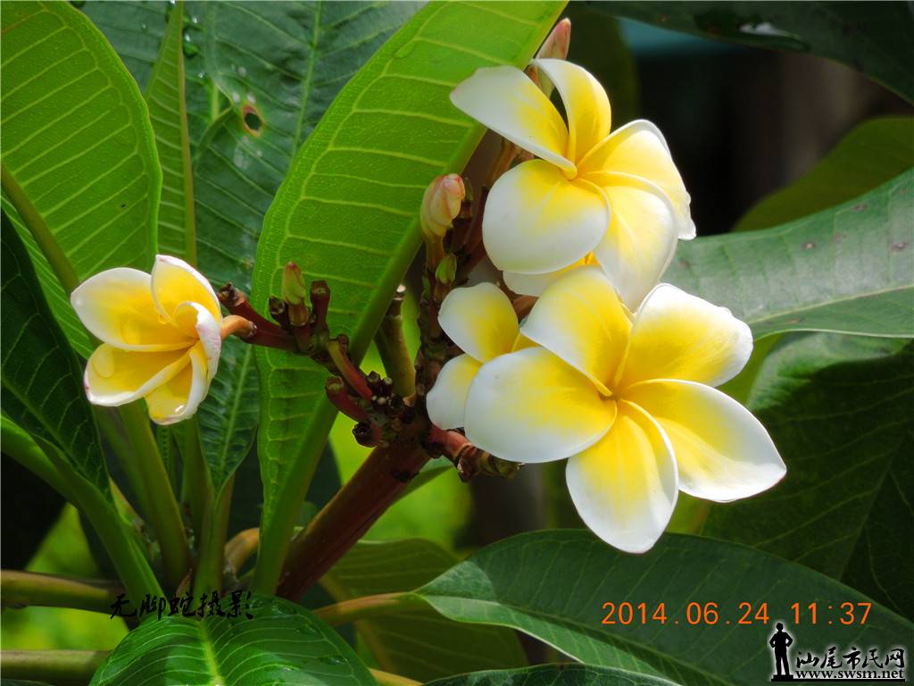DSCN3041.JPG