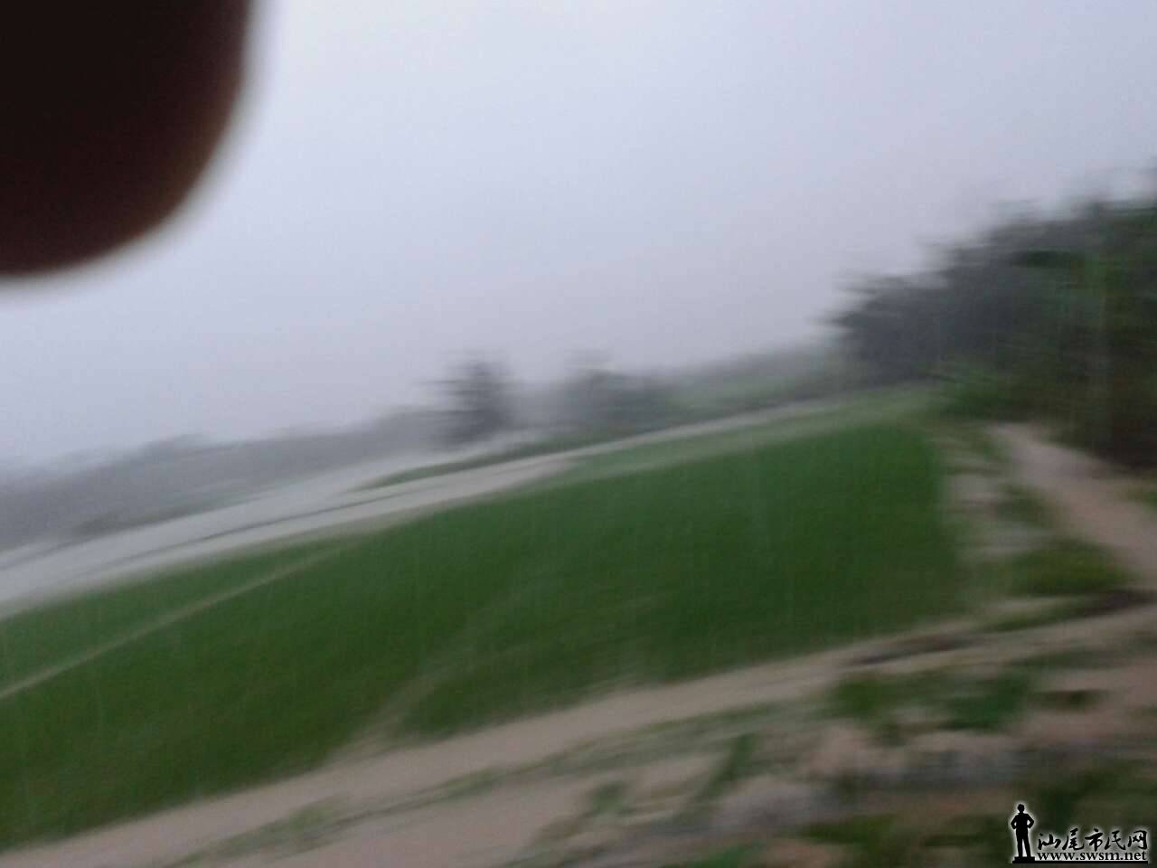 mmexport1404007558275.jpg