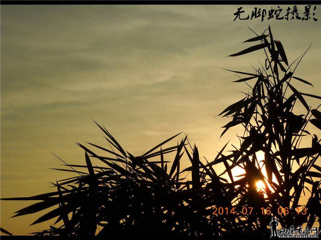 DSCN3814.JPG