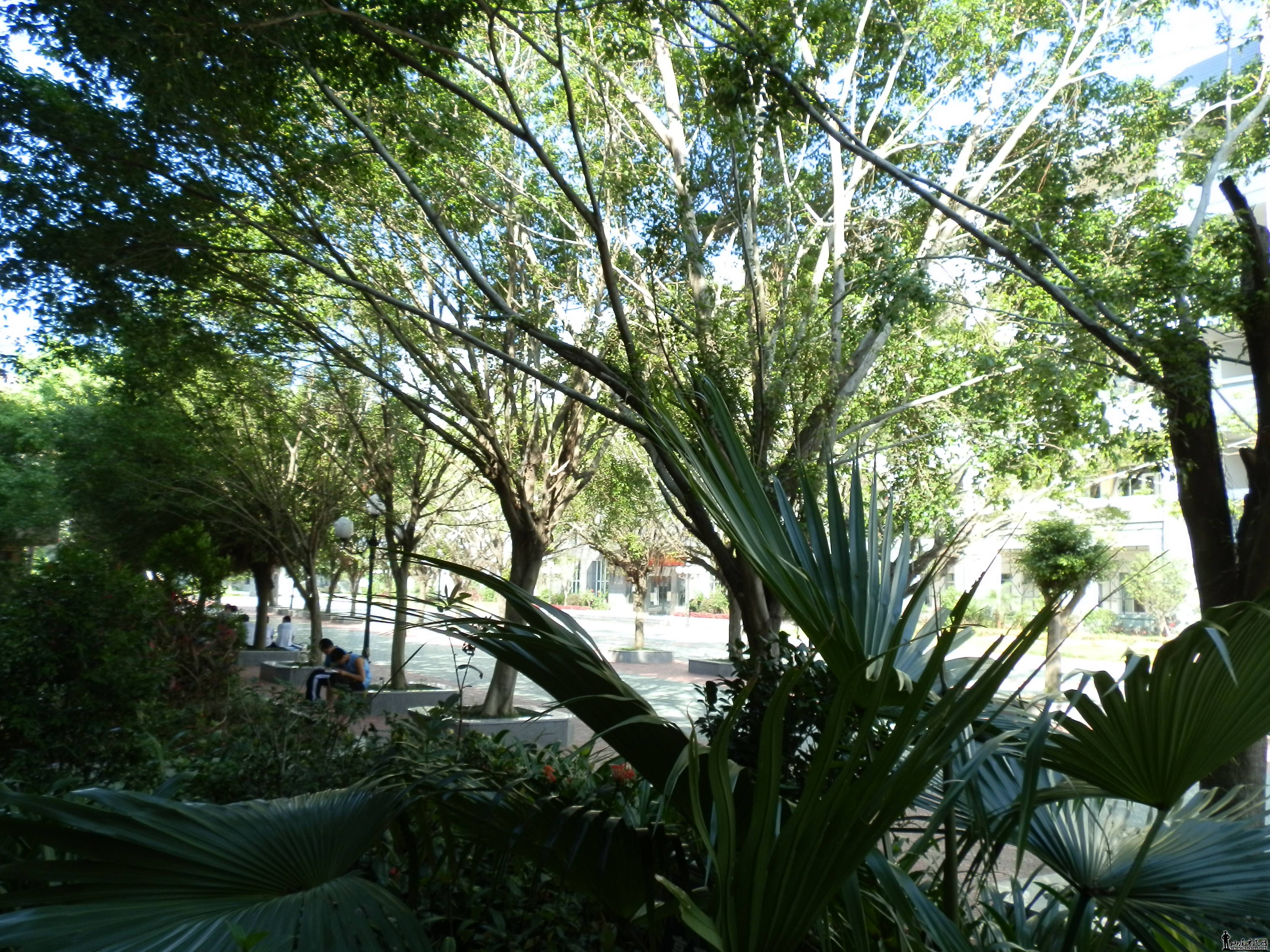P7280011.JPG