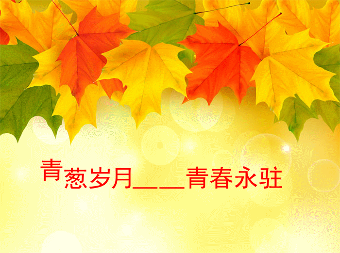 1.gif