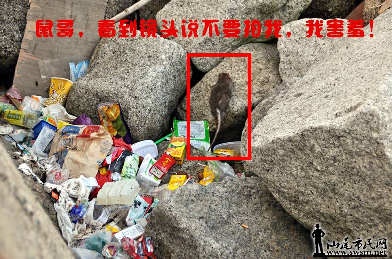 QQͼ20140805013106.jpg