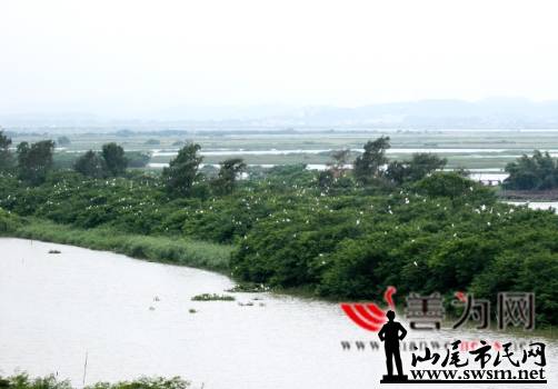 񵺣ɼȺڷ裬ˮϢá.png