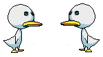 .gif