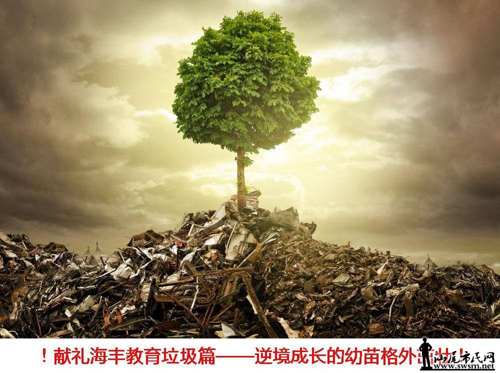 澳ɳ׳1.JPG