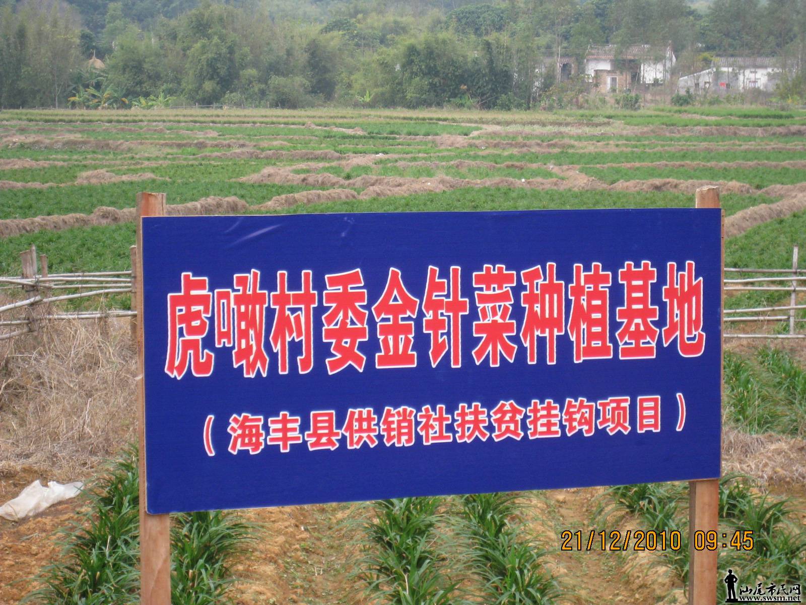201409172154442.jpg