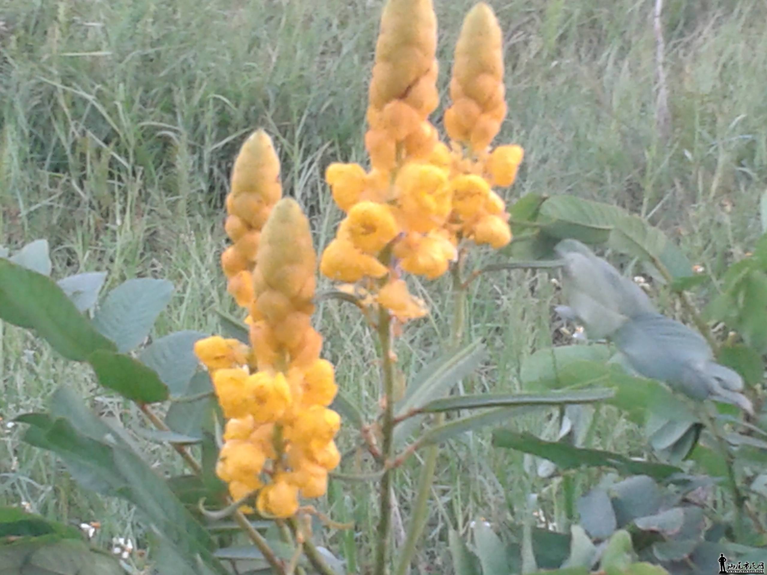 20140920_180920.jpg