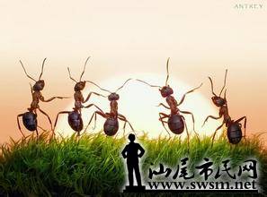 u=3367211846,2370439853&fm=21&gp=0.jpg