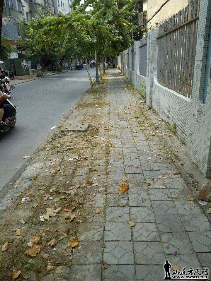 1129.jpg