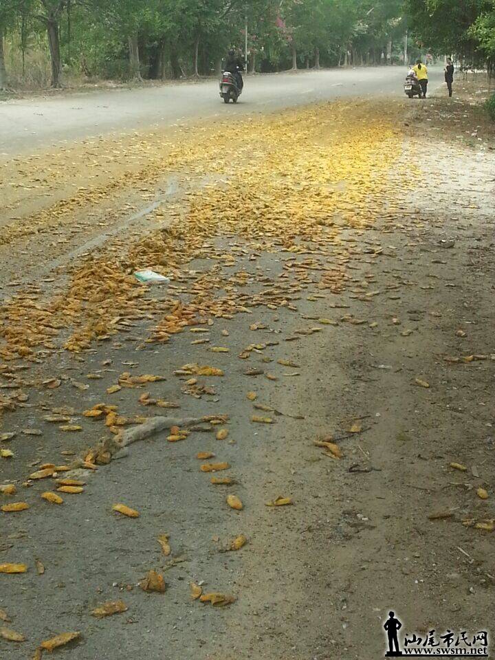 QQͼƬ20141126125506.jpg