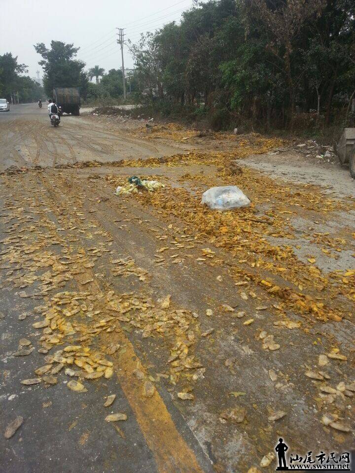 QQͼƬ20141126125515.jpg