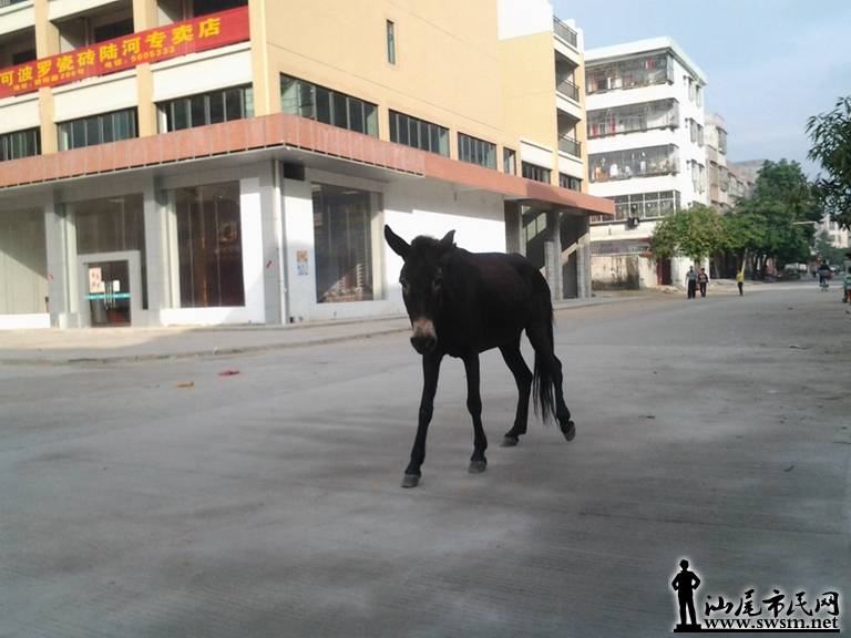 qq04.jpg