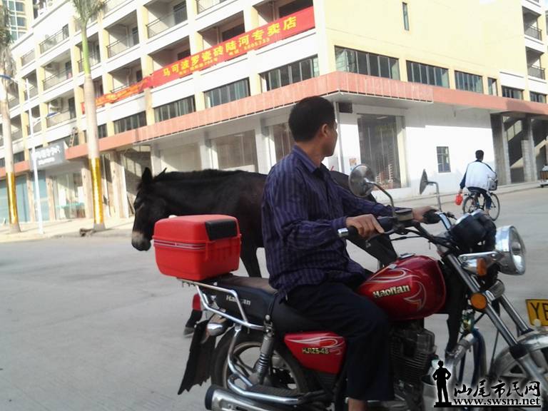 qq05.jpg