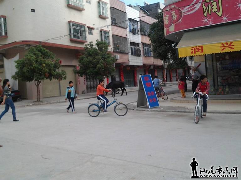 qq13.jpg
