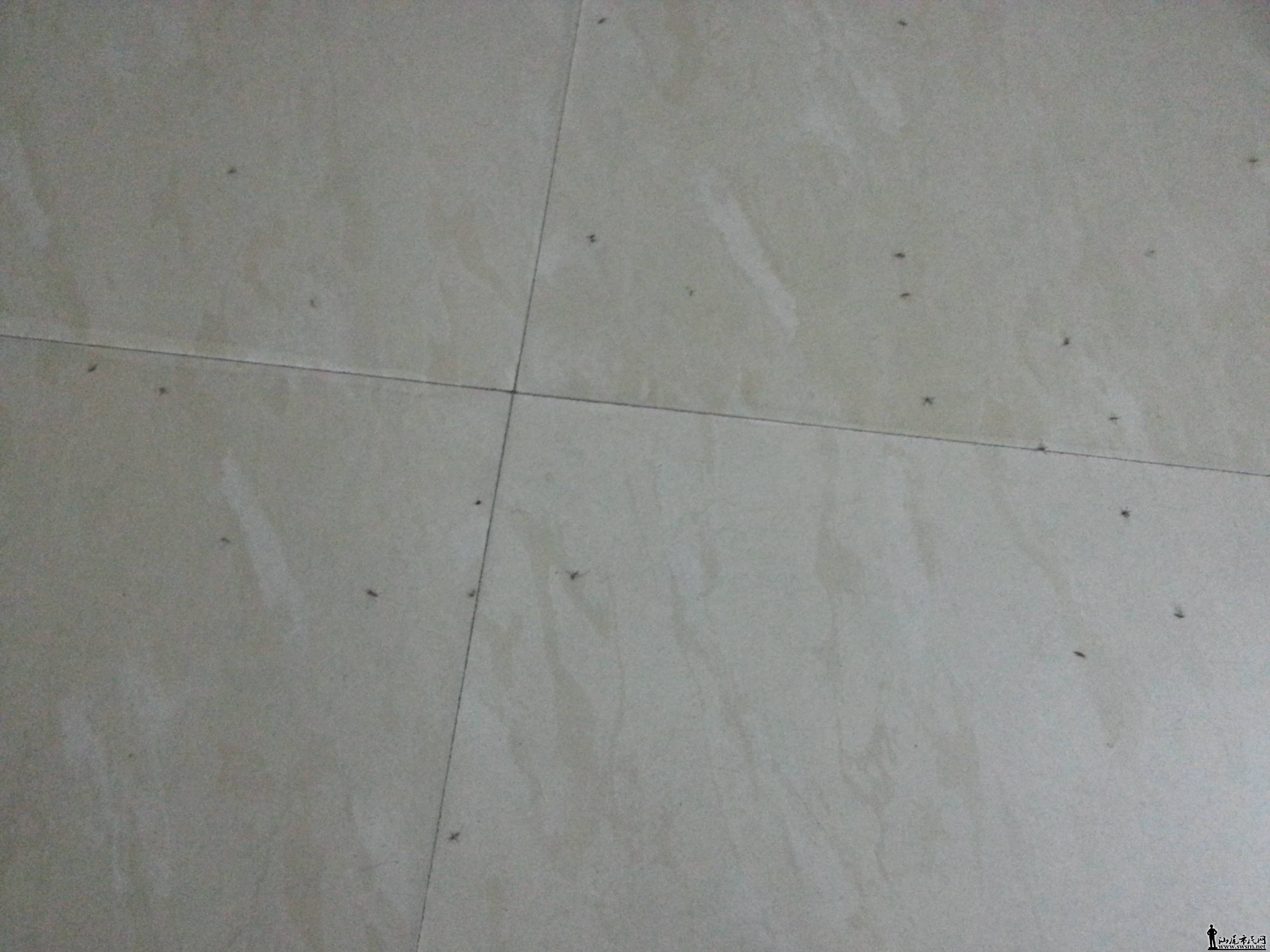 20141206_182306.jpg
